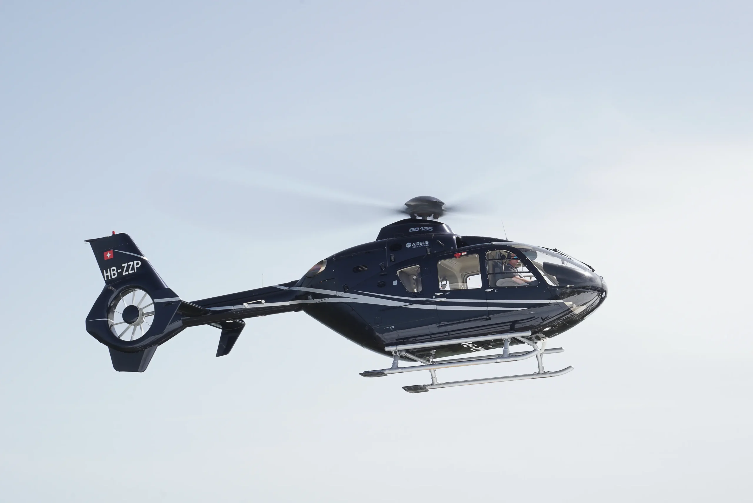 Centaurium_ECC135T2_2